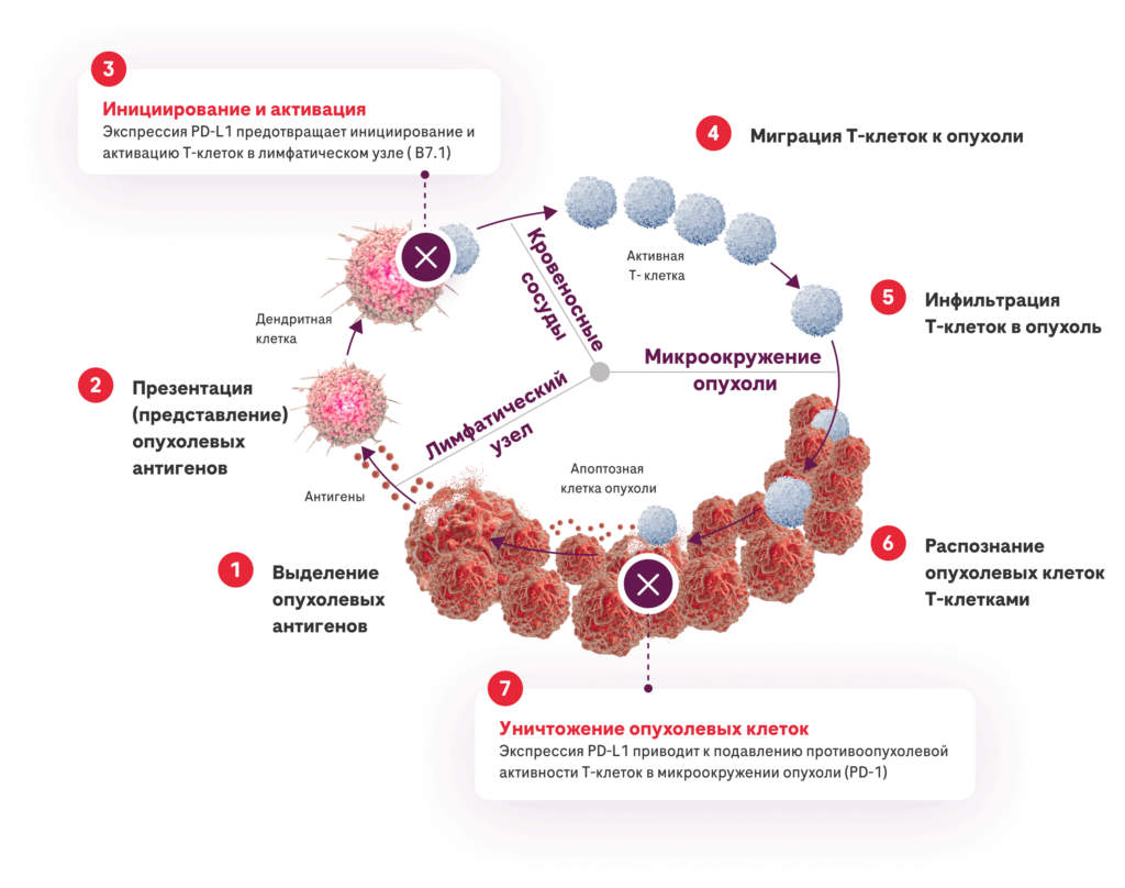 Связывание лиганда