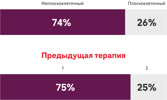 Предыдущая терапия