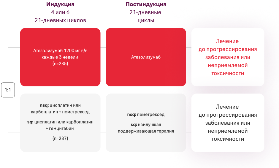 Индукция и Постиндукция