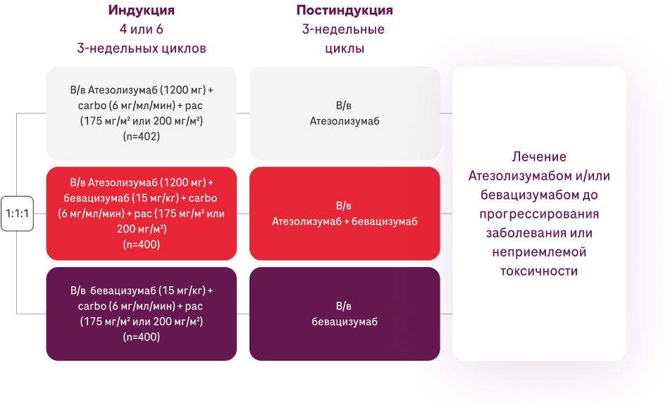 Индукция и Постиндукция