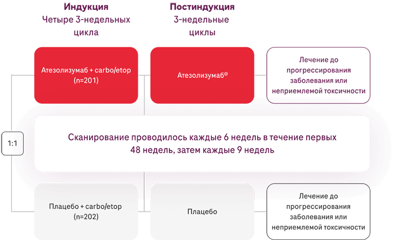 Индукция и Постиндукция
